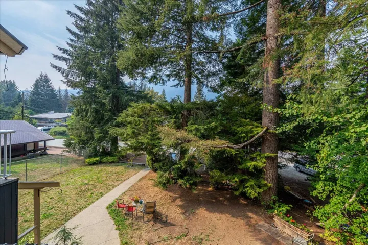Expansive yard featuring mature evergreen trees, a concrete pathway, and landscaping