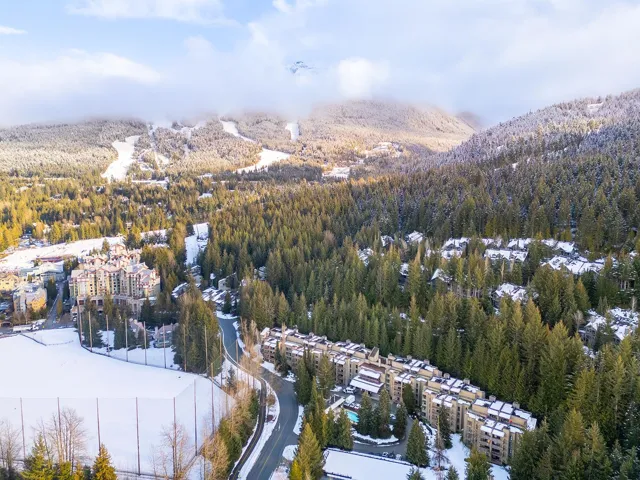 Aerial view of a heavily wooded area and mountains