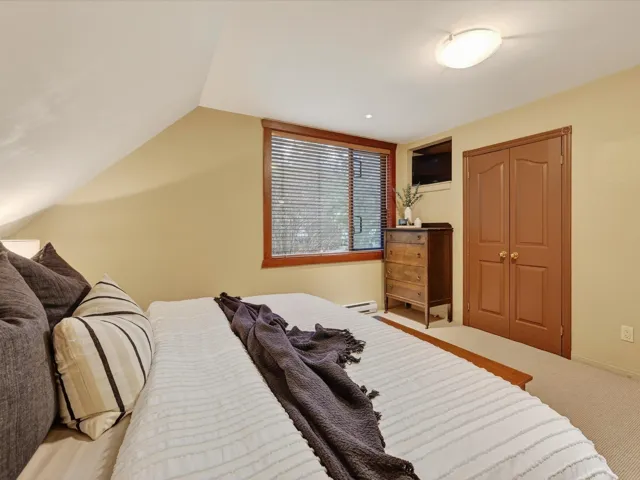 Bedroom with vaulted ceiling, a closet, and a baseboard radiator