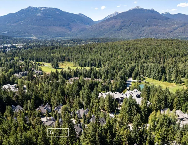 Bird's eye view of a forest and mountains