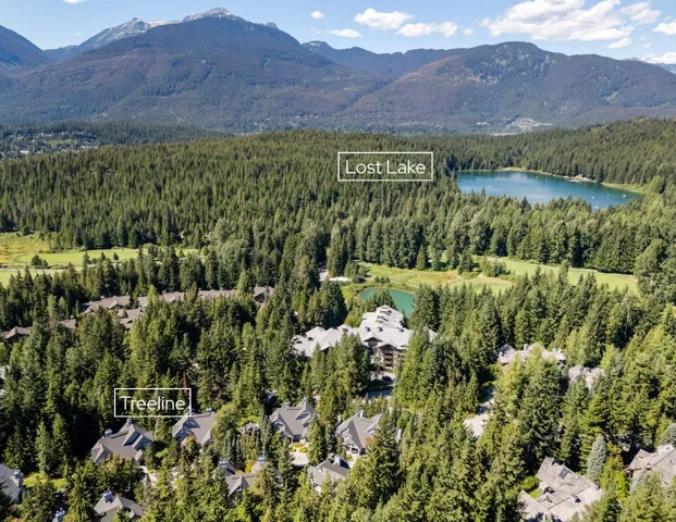 Aerial view of a forest and a water and mountain view