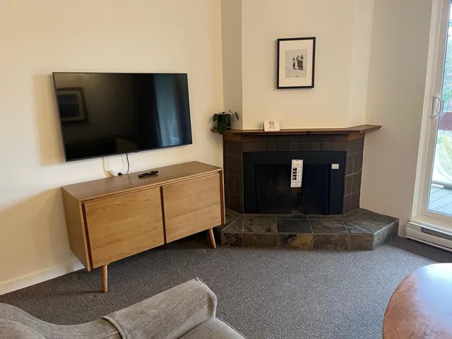 Detailed view of carpet and a fireplace