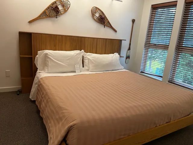 Bedroom featuring carpet