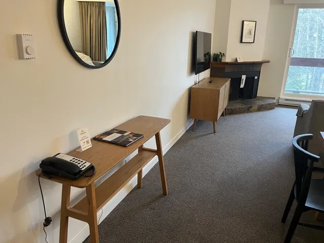 Dining space with carpet, a glass covered fireplace, and a baseboard heating unit