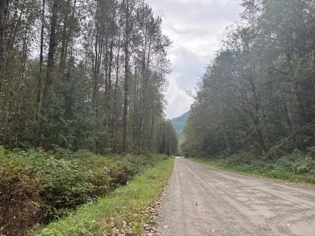 View of dirt / gravel road featuring a wooded view