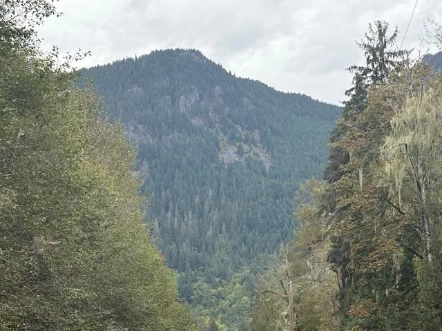 View of mountain backdrop featuring a heavily wooded area