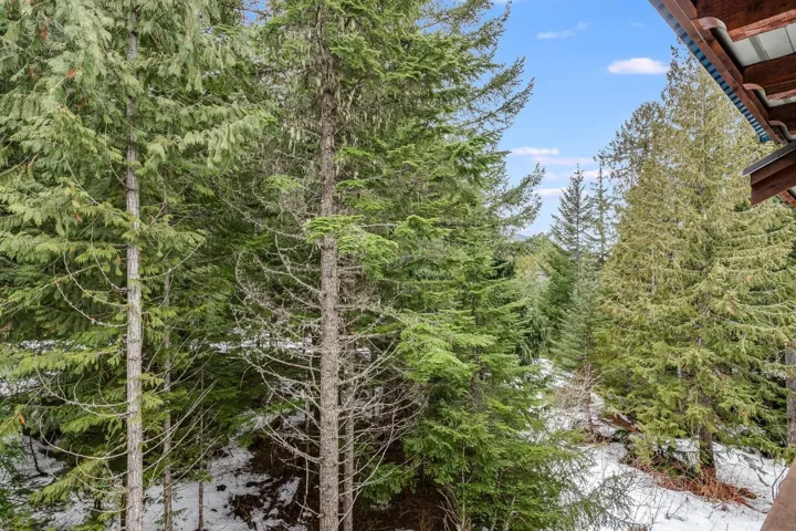 View of landscape featuring a wooded view