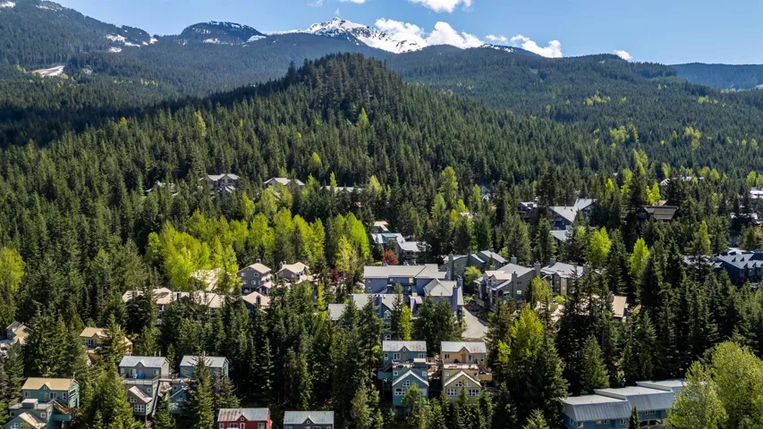 Bird's eye view of a heavily wooded area and a mountain backdrop