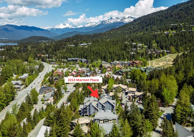 Aerial overview of property's location featuring a forest and a mountain backdrop