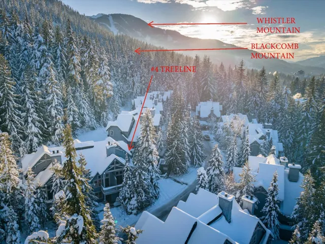 Snowy aerial view featuring a mountain view and a forest view