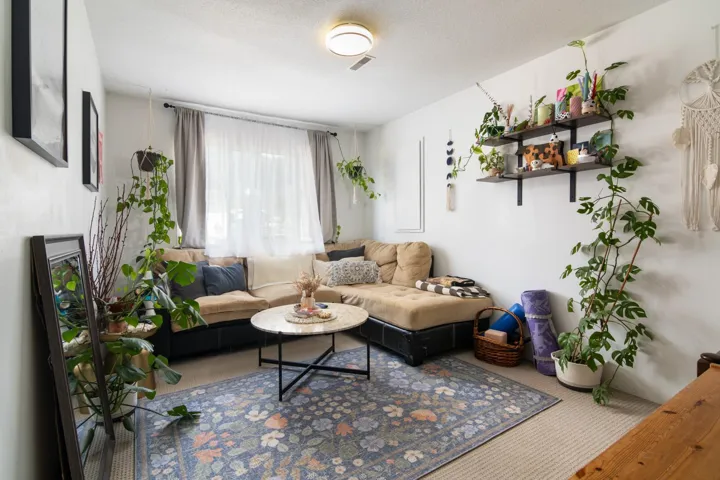 Living area with carpet and a textured ceiling
