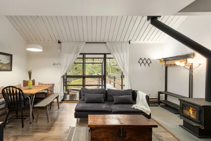 Living room with a wood stove and light wood-type flooring