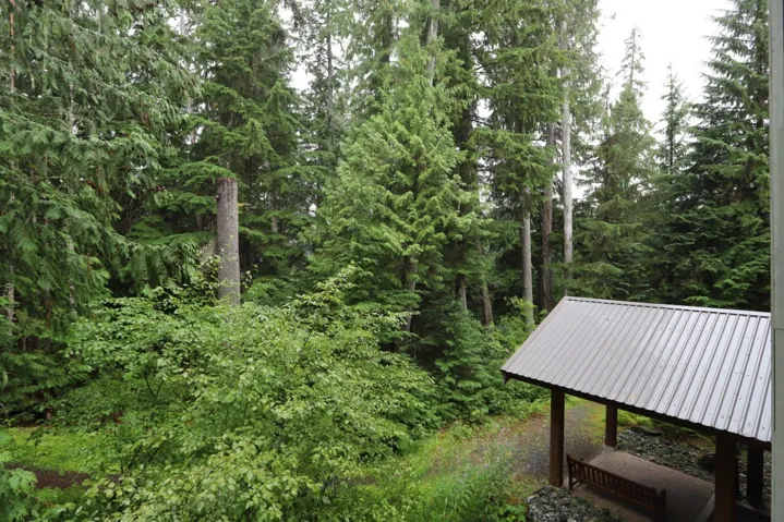View of yard with a wooded view