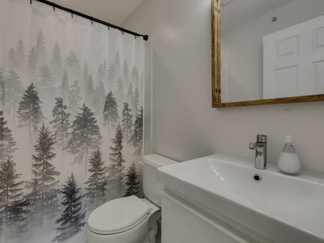 Bathroom featuring vanity, a shower with shower curtain, and toilet