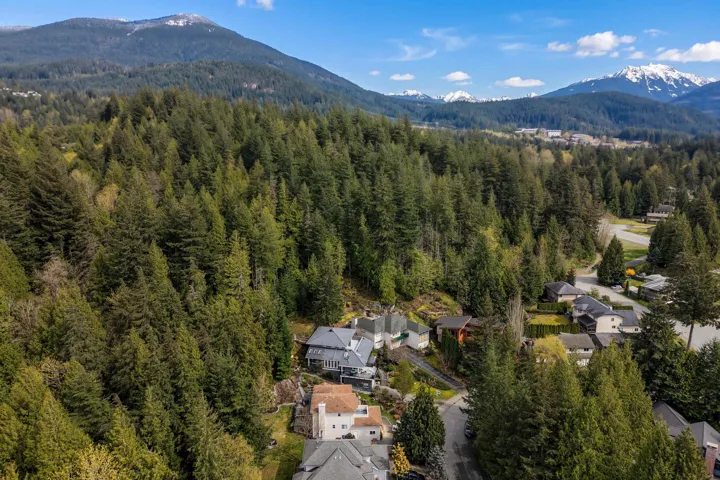Aerial view of residential area with a mountain backdrop