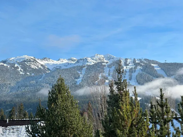 Mountain view