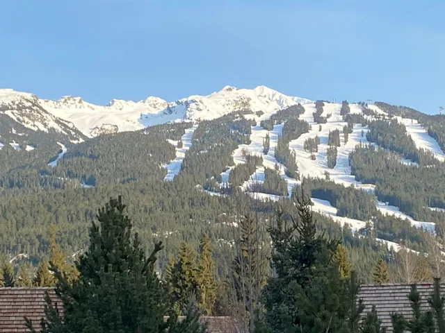Mountain view with a forest view