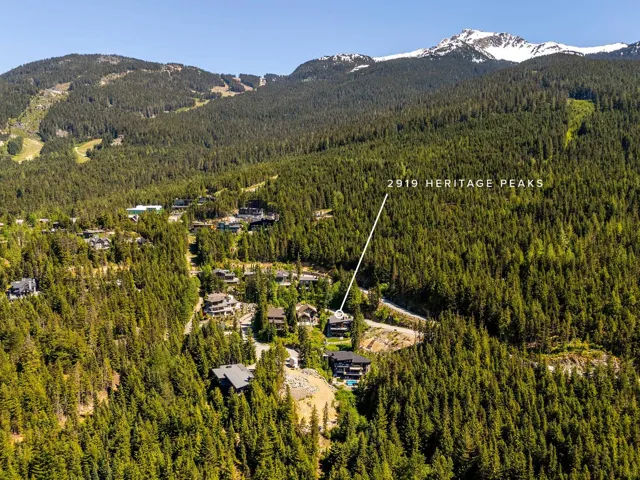 Drone / aerial view of a heavily wooded area and a mountainous background