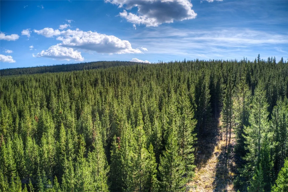 TBD Beaver Creek West Rd, Big Sky, Montana 59716, Big Sky, Montana 59716, ,Land,For Sale,TBD Beaver Creek West Rd, Big Sky, Montana 59716,0,377175