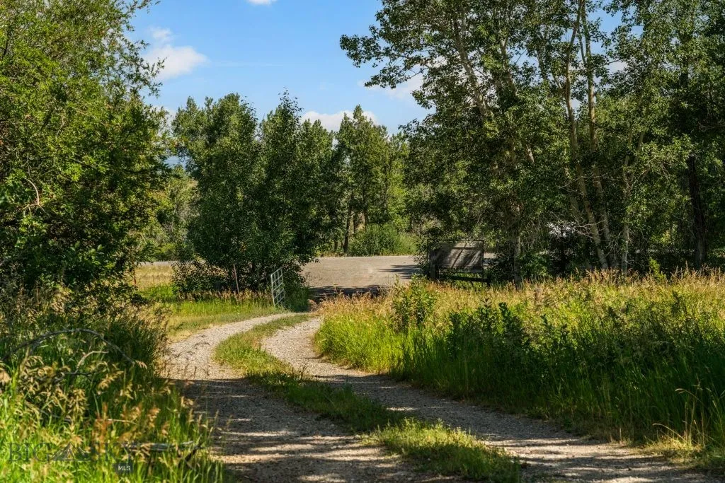 Entrance road