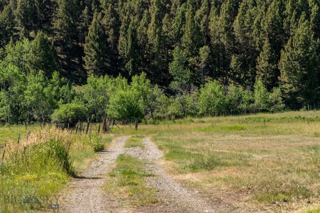 Hills in the back ground