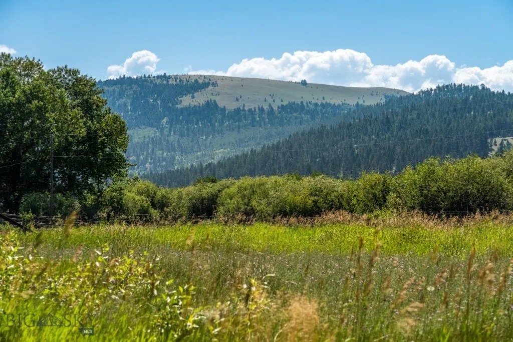 Meadow and mountains
