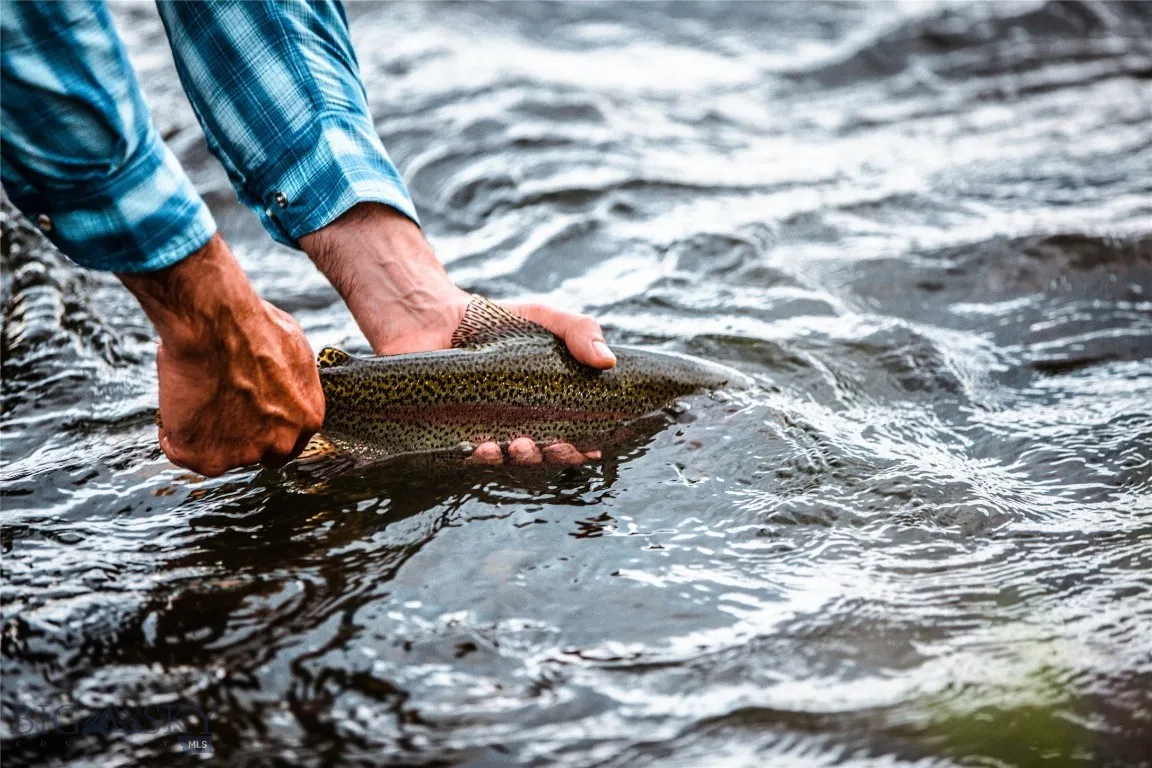 Lot 38 Sun West Ranch, Cameron, Montana 59720, Cameron, Montana 59720, ,Land,For Sale,Lot 38 Sun West Ranch, Cameron, Montana 59720,0,388532