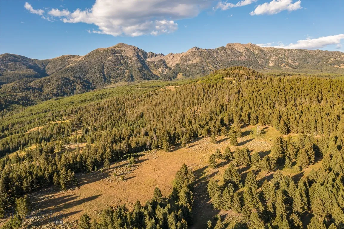 TBD Jack Creek Road, Moonlight Territory Parcel 5, Big Sky, Montana 59729, ,Land,For Sale,TBD Jack Creek Road, Moonlight Territory Parcel 5,0,389015