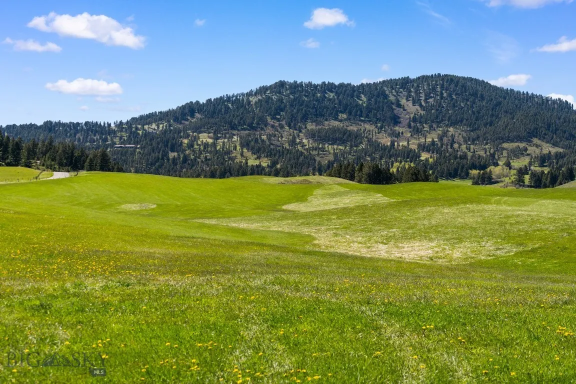 Nhn Stublar Road, Bozeman, Montana 59715, Bozeman, Montana 59715, ,Land,For Sale,Nhn Stublar Road, Bozeman, Montana 59715,392229