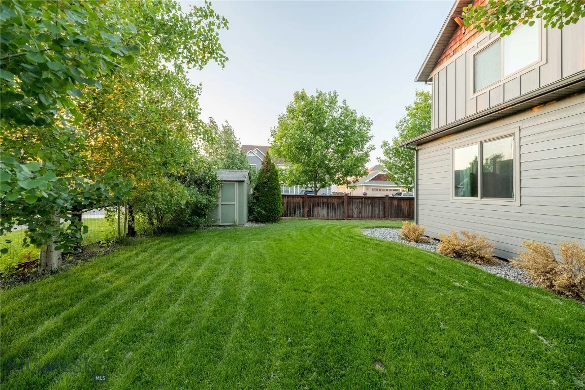 Fenced back yard