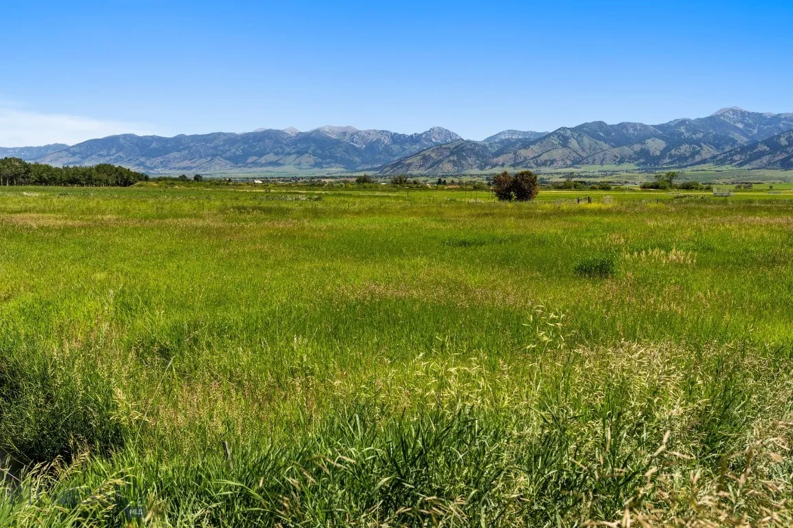 Flat meadow landscape with view of the Bridger Mountains