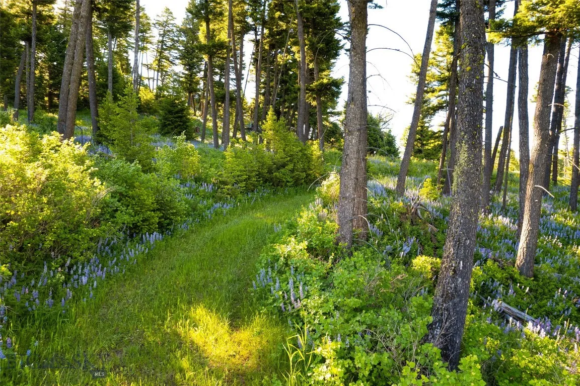 Ranch 2 North Pass Ranches, Bozeman, Montana 59715, Bozeman, Montana 59715, ,Land,For Sale,Ranch 2 North Pass Ranches, Bozeman, Montana 59715,0,395400