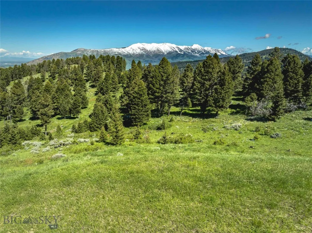 Ranch 2 North Pass Ranches, Bozeman, Montana 59715, Bozeman, Montana 59715, ,Land,For Sale,Ranch 2 North Pass Ranches, Bozeman, Montana 59715,0,395400