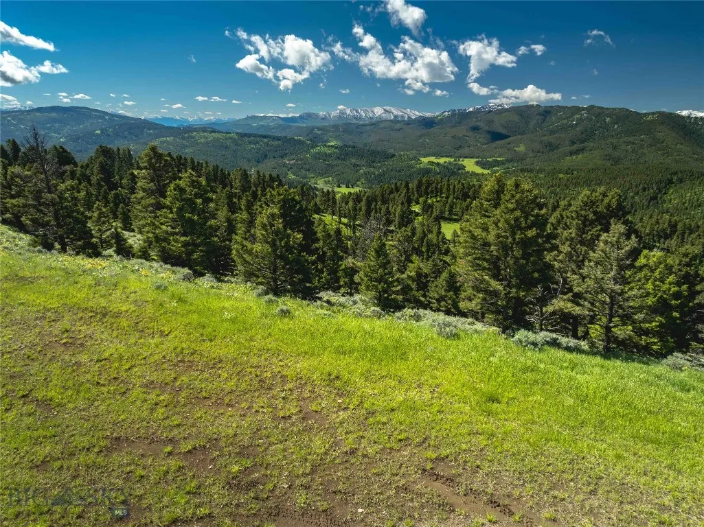 Ranch 2 North Pass Ranches, Bozeman, Montana 59715, Bozeman, Montana 59715, ,Land,For Sale,Ranch 2 North Pass Ranches, Bozeman, Montana 59715,0,395400