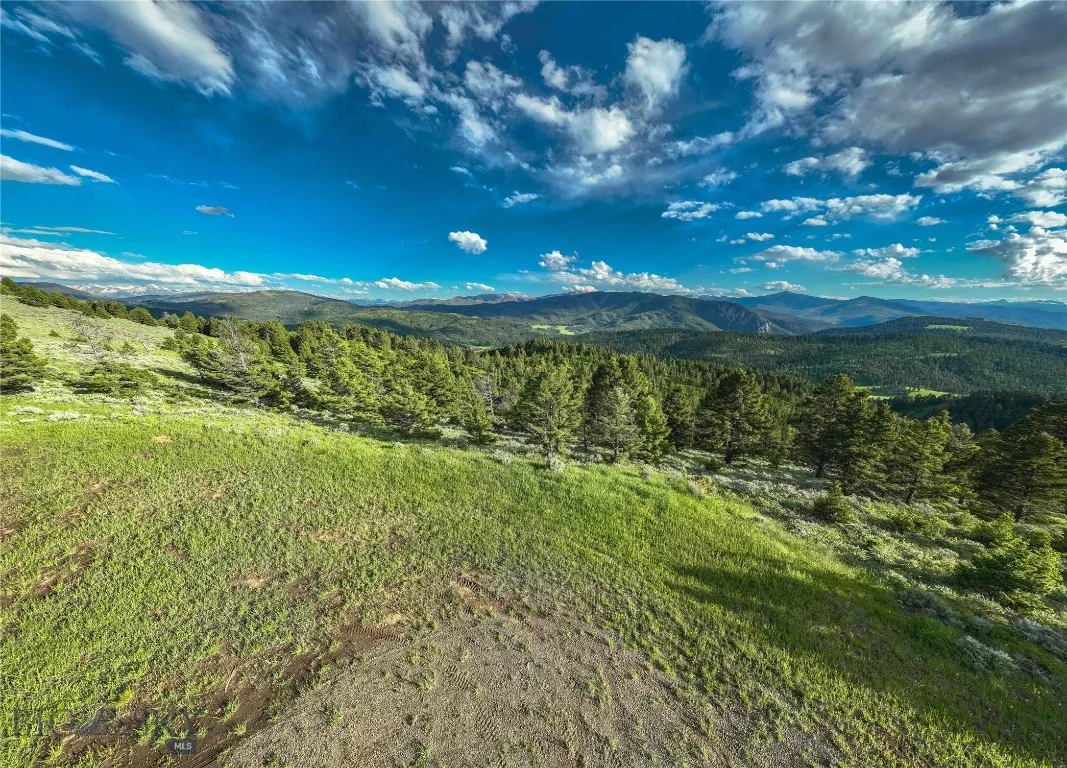 Ranch 2 North Pass Ranches, Bozeman, Montana 59715, Bozeman, Montana 59715, ,Land,For Sale,Ranch 2 North Pass Ranches, Bozeman, Montana 59715,0,395400