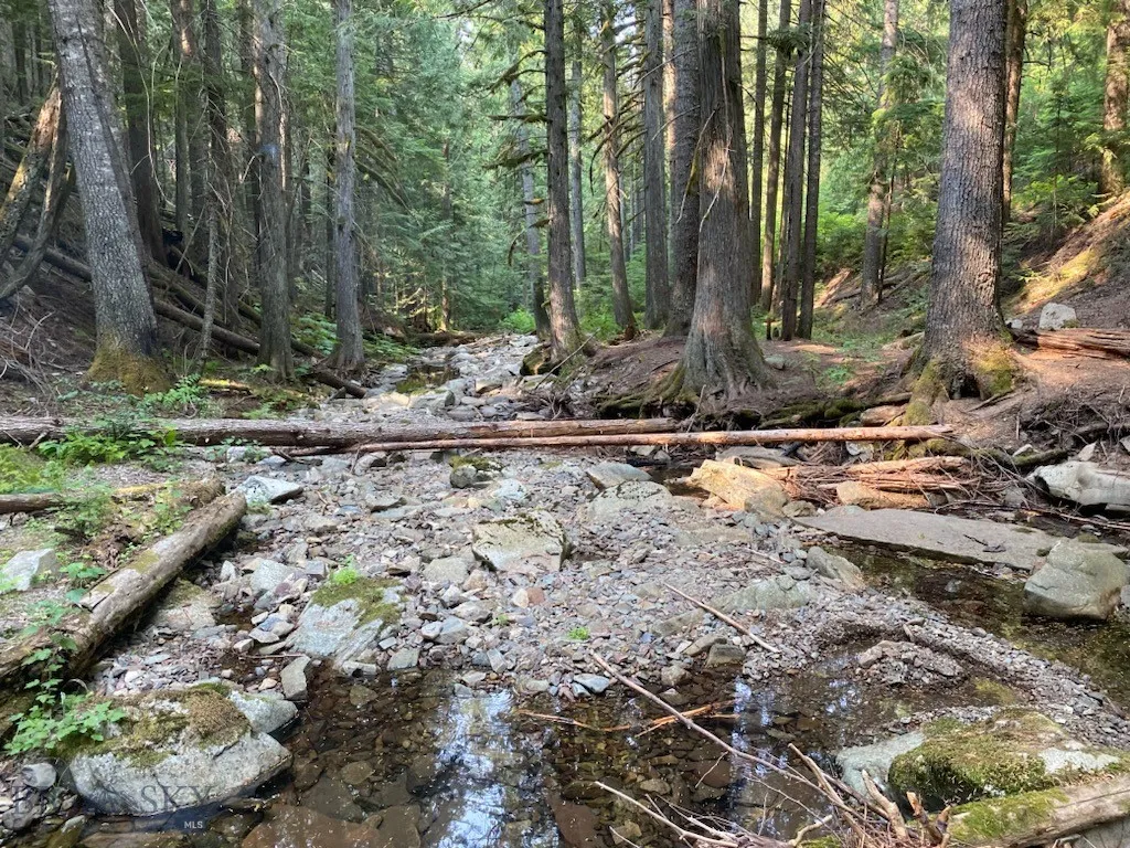 1876 Timber Creek Road, None, Montana 59866, Montana 59866, 8 Bedrooms Bedrooms, ,4 BathroomsBathrooms,Residential,For Sale,1876 Timber Creek Road, None, Montana 59866,0,396843