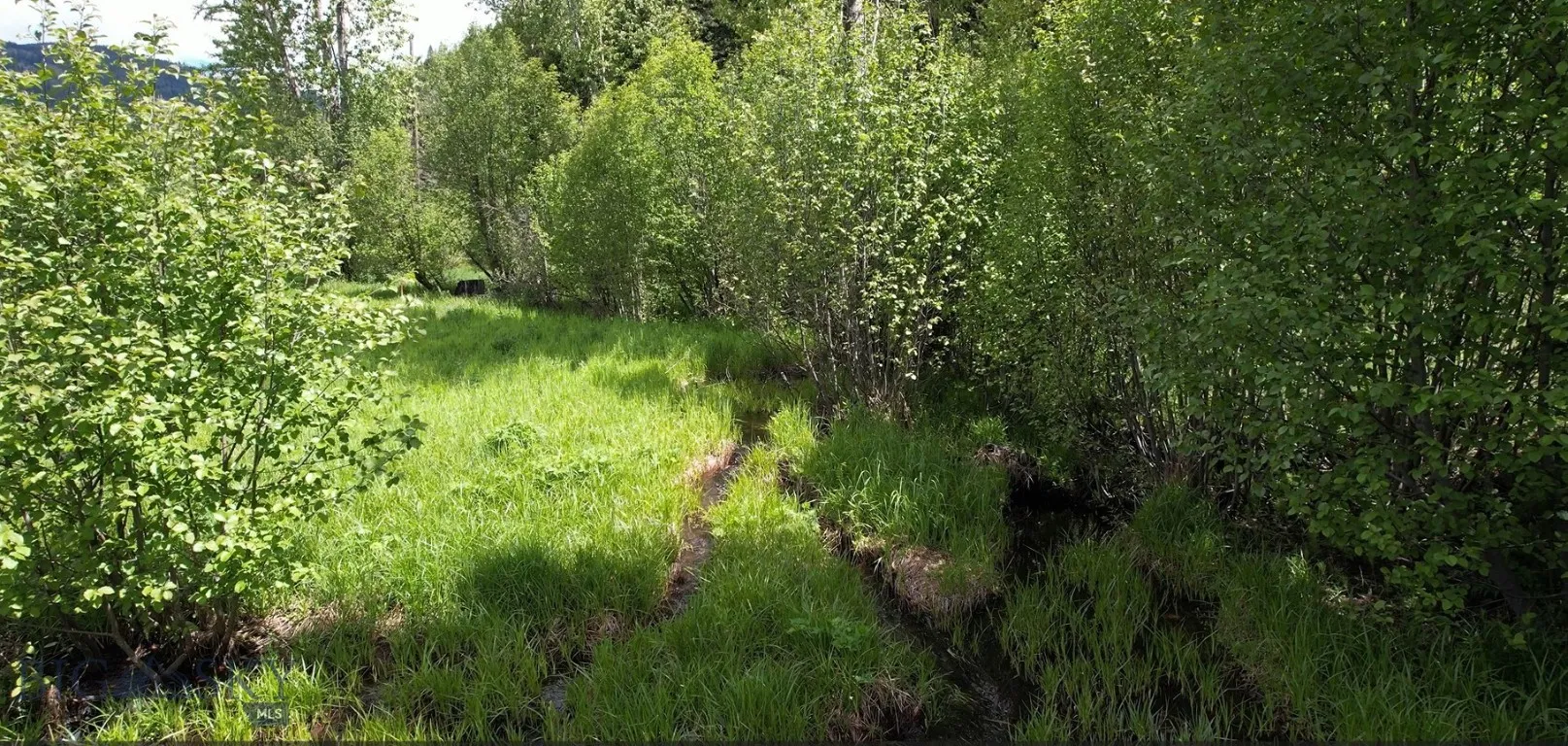1876 Timber Creek Road, None, Montana 59866, Montana 59866, 8 Bedrooms Bedrooms, ,4 BathroomsBathrooms,Residential,For Sale,1876 Timber Creek Road, None, Montana 59866,0,396843