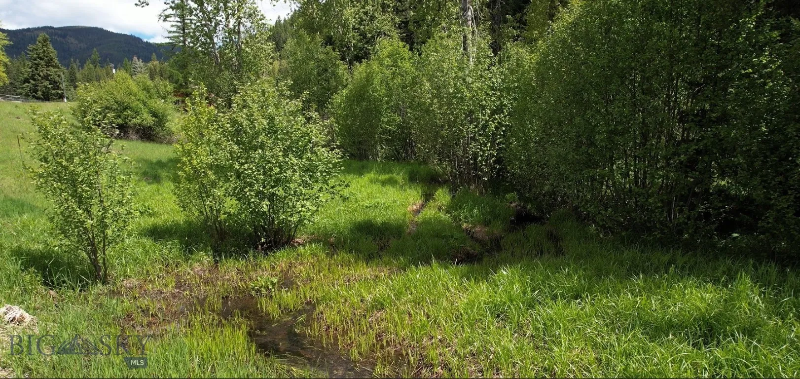 1876 Timber Creek Road, None, Montana 59866, Montana 59866, 8 Bedrooms Bedrooms, ,4 BathroomsBathrooms,Residential,For Sale,1876 Timber Creek Road, None, Montana 59866,0,396843