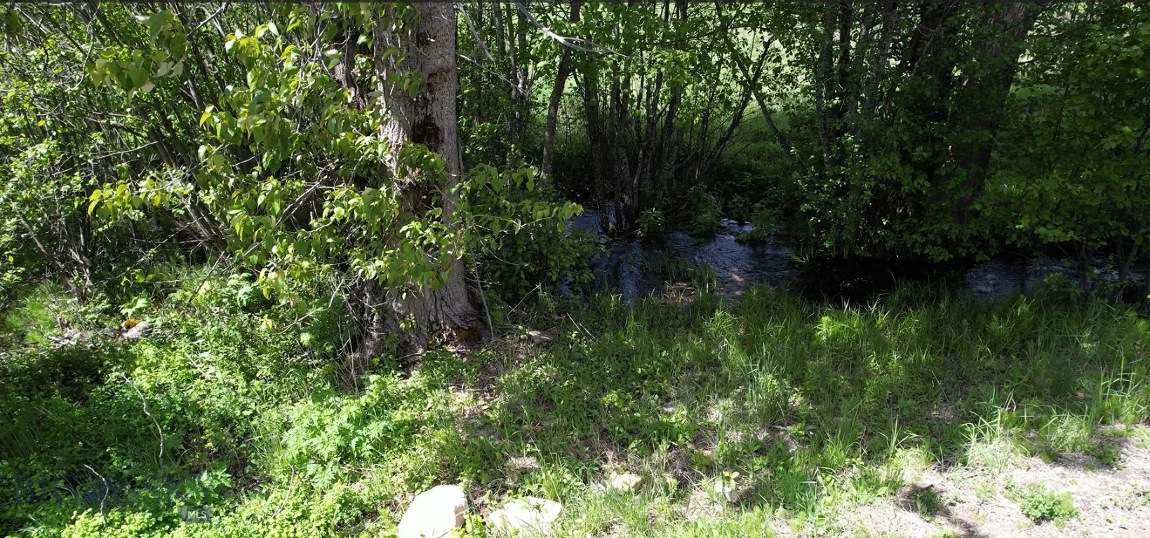 1876 Timber Creek Road, None, Montana 59866, Montana 59866, 8 Bedrooms Bedrooms, ,4 BathroomsBathrooms,Residential,For Sale,1876 Timber Creek Road, None, Montana 59866,0,396843