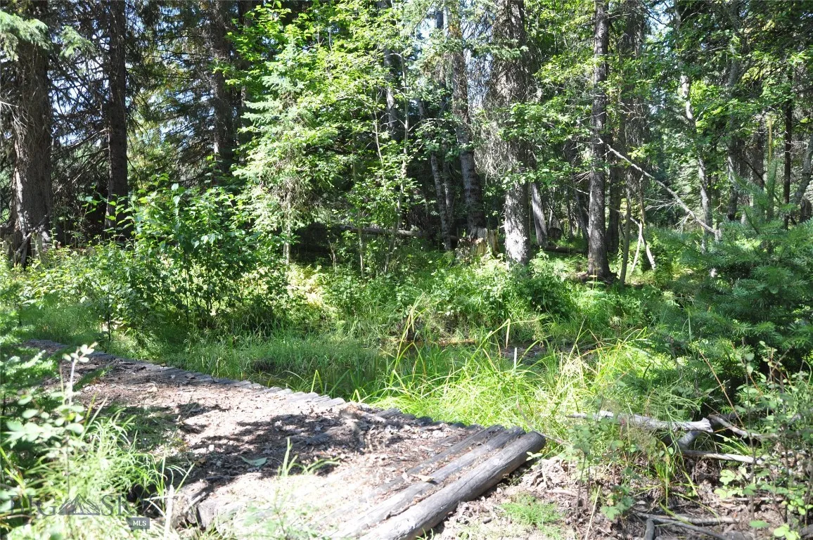 1876 Timber Creek Road, None, Montana 59866, Montana 59866, 8 Bedrooms Bedrooms, ,4 BathroomsBathrooms,Residential,For Sale,1876 Timber Creek Road, None, Montana 59866,0,396843