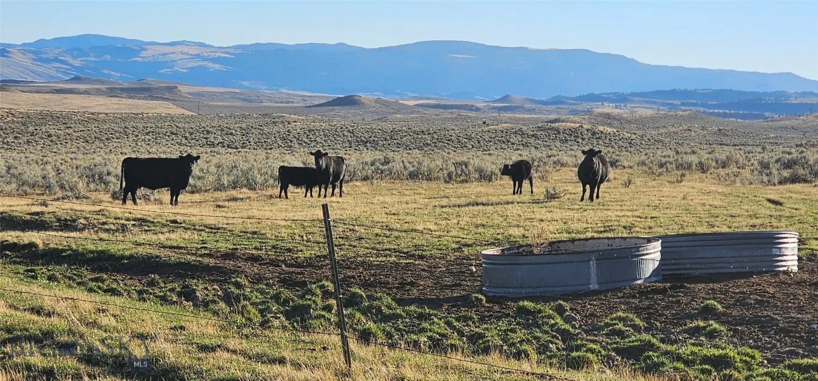Tbd Shy Road, Wilsall, Montana 59086, Wilsall, Montana 59086, ,Farm,For Sale,Tbd Shy Road, Wilsall, Montana 59086,397355
