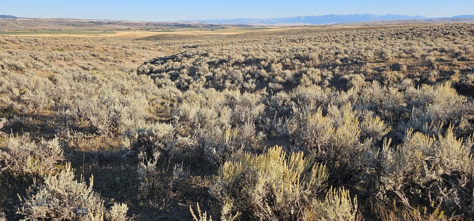 Tbd Shy Road, Wilsall, Montana 59086, Wilsall, Montana 59086, ,Farm,For Sale,Tbd Shy Road, Wilsall, Montana 59086,397355