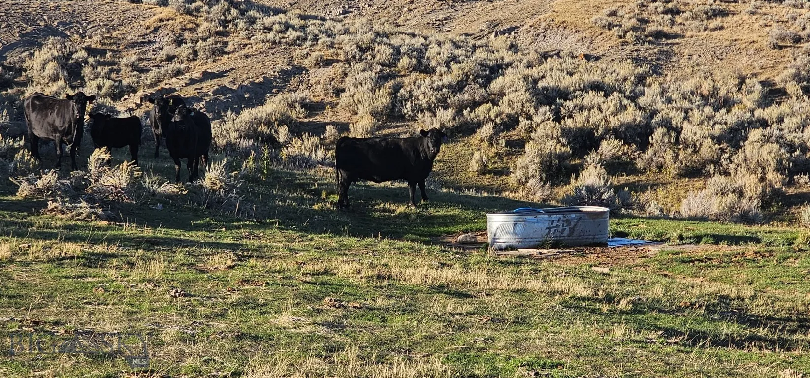 Tbd Shy Road, Wilsall, Montana 59086, Wilsall, Montana 59086, ,Farm,For Sale,Tbd Shy Road, Wilsall, Montana 59086,397355
