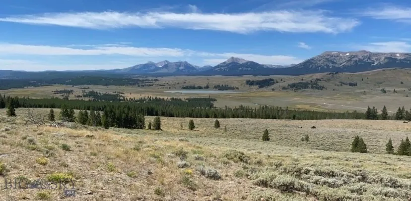 YNP