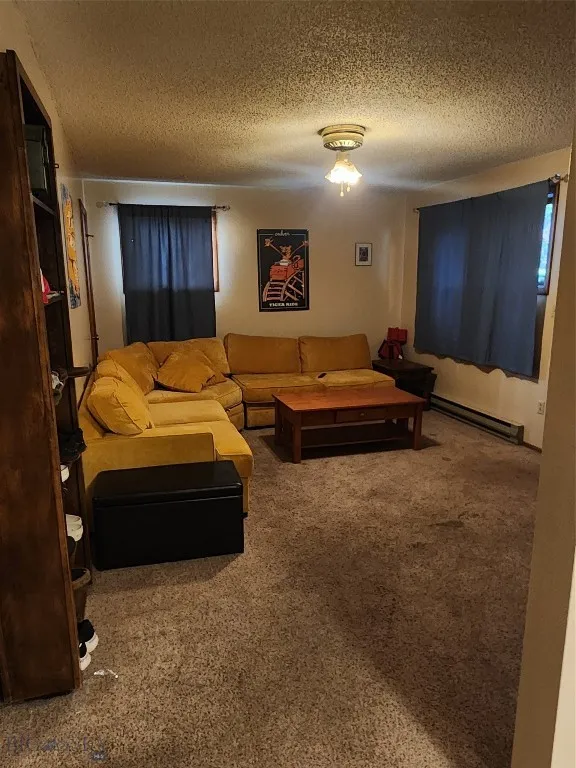 Living room with a textured ceiling, carpet flooring, and a baseboard radiator