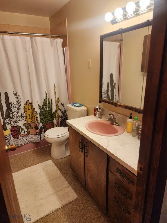 Bathroom featuring toilet, vanity, and a shower with shower curtain