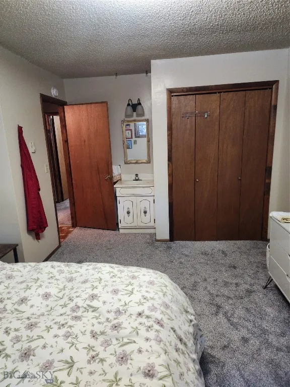 Carpeted bedroom with a textured ceiling, sink, and a closet