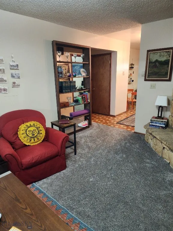 Carpeted living room featuring a textured ceiling