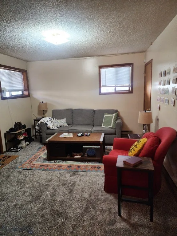 Living room featuring carpet floors and a textured ceiling
