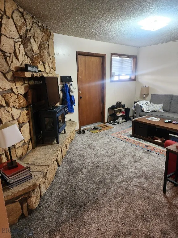 Living room with a textured ceiling, carpet flooring, and a wood stove